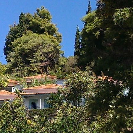Sofia Holiday Studios Stafylos Bagian luar foto