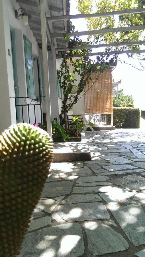Sofia Holiday Studios Stafylos Bagian luar foto