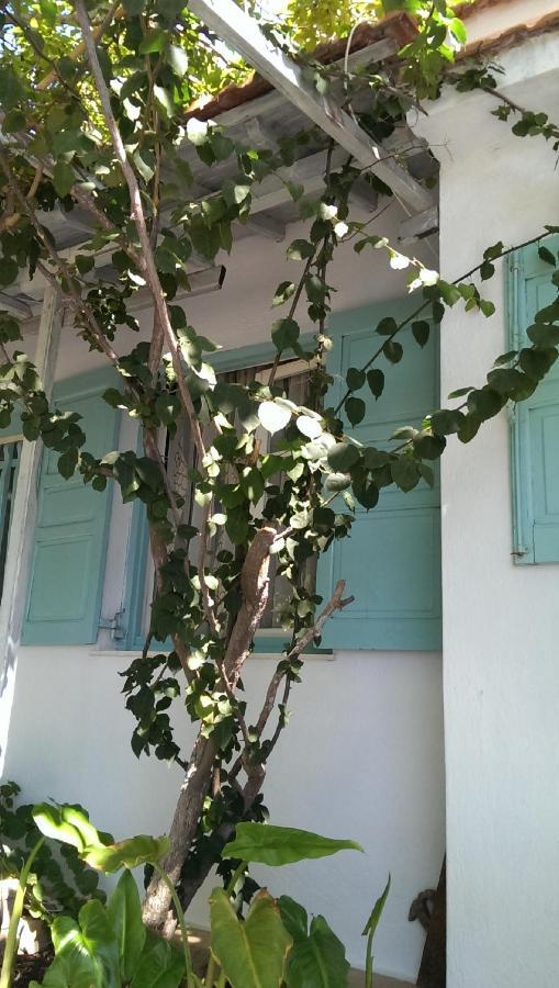 Sofia Holiday Studios Stafylos Bagian luar foto